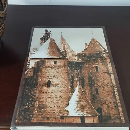 Appartamento Chez Anne-marie Bourgeois Carcassonne